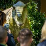 exhibicion dinosaurio exposicion