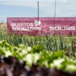 La red regional de huertos solidarios de Fundación Soliss está ya a pleno rendimiento triplicando su producción