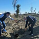 plantacion medio ambiente