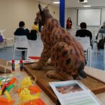 colonia gato medio ambiente formacion taller