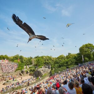 El parque Puy de Fou recibe un reconocimiento por su compromiso con la sostenibilidad
