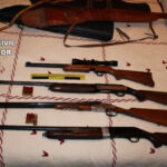 armas escopeta