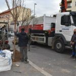 Arbolado en Talavera de la Reina