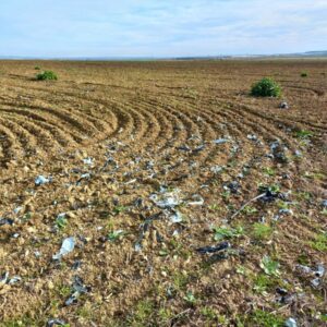 Condenan el "lamentable" uso del plástico en campos de cultivo de La Sagra