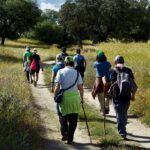 ruta red camino sendero senderismo