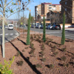 ajardinamiento_guadarrama_1