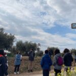 ruta naturaleza senderismo ajofrin
