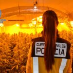 drogas toledo policia nacional investigacion trafico