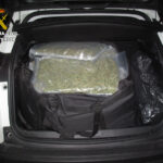 2022-03 64 kilos de marihuana en otro operativo (1)