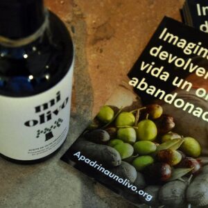 ¿Cómo elaborar aceites de oliva de calidad desde una producción sostenible? Uno de los temas que abordará la Jornada NaturAceite 2023