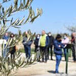 balsas alpechin contaminacion olivar mora life regrow