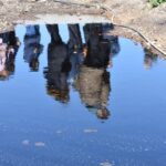balsas alpechin contaminacion olivar mora life regrow