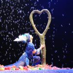 magia espectaculo