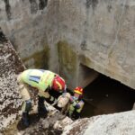 bomberos suceso perro