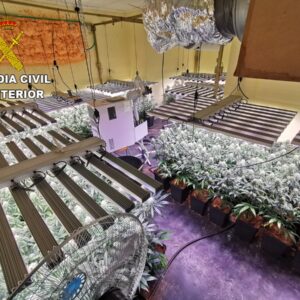 Dos jóvenes detenidos en Burguillos por tener una plantación de marihuana en su vivienda
