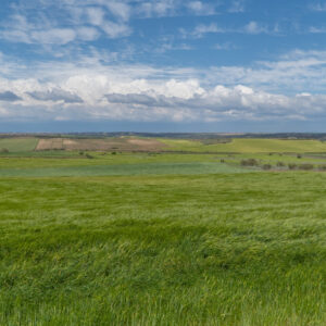 El Viso de San Juan quiere ser Red Natura 2000 para proteger la biodiversidad de La Sagra