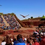 Puy du Fou España cetreria aguila animal espectaculo