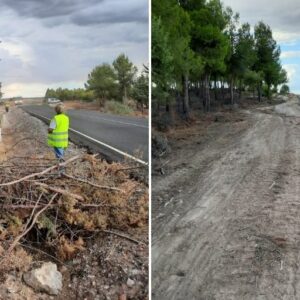 Así luce el entorno de Santa Cruz de la Zarza tras los trabajos para prevenir incendios realizados por voluntariado