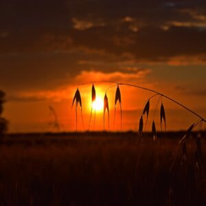 La mitad de la provincia de Toledo, en alerta naranja por altas temperaturas