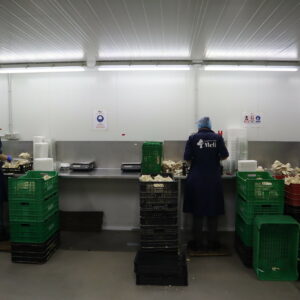 El paro baja en más de 300 personas en la provincia de Toledo y hay 2.400 desempleados menos que el año pasado