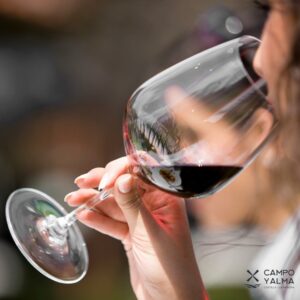 Toledo invita a "disfrutar sin etiquetas" de la primera Feria del Vino Artesano e Independiente