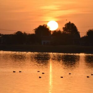 Un 'abrazo al agua' en las Lagunas de Villafranca para buscar una mejor gestión de los humedales manchegos