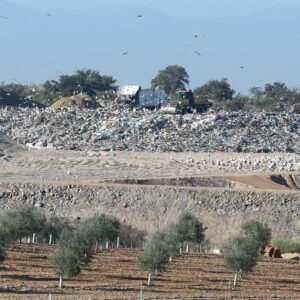 Hallado un torso en el Ecoparque de Toledo donde se buscan restos del niño desaparecido en Madrid