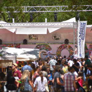 El Sr. Blues Festival volverá a unir música, solidaridad y ecología en su cuarta edición