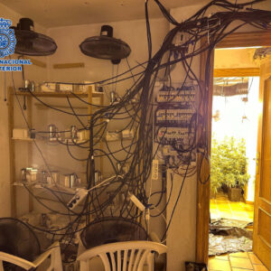 Desmantelan dos laboratorios clandestinos de marihuana en Bargas y Magán