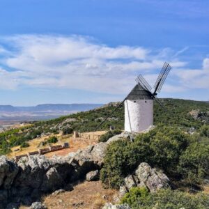 Nuevas ayudas en los Montes de Toledo para autónomos y empresas con proyectos innovadores y sostenibles