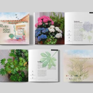 'Plantas en los Patios de Toledo', el libro para dar a conocer el "pulmón verde" del Casco Histórico