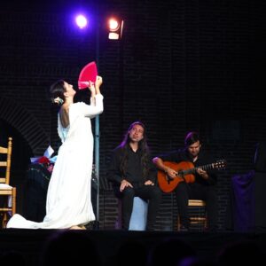 Más de 150 artistas participarán en el XII Festival Nacional de Teatro de Talavera