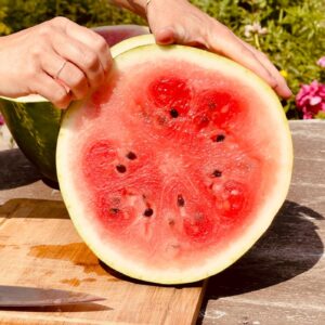 La campaña de sandía y melón arranca con precios altos: "Hay poco producto aún"