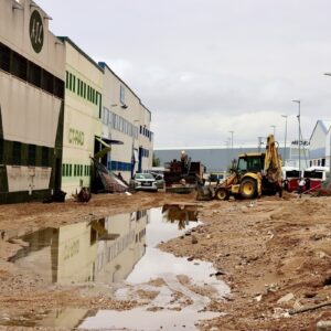 Admiten a trámite la demanda de Fedeto a la Confederación del Tajo por la conservación del arroyo Ramabujas en la Dana de 2023