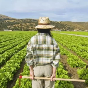 Más de 90 jóvenes mujeres de Toledo solicitan ayudas de la Junta para incorporarse a la agricultura y la ganadería