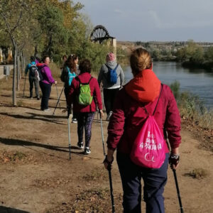 Toledo acoge la cuarta Marcha Solidaria contra el Cáncer de Mama