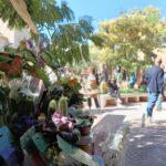 Mercado flores jardin san lucas