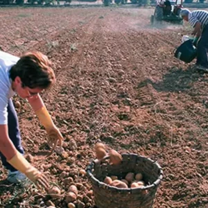 El Día Internacional de las Mujeres Rurales