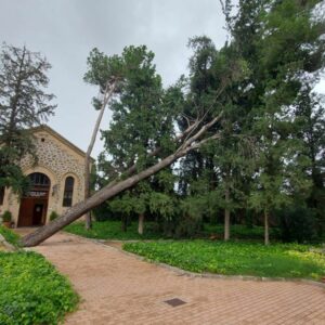 Árboles caídos o inundaciones, entre las incidencias por las fuertes lluvias y el viento en la provincia de Toledo