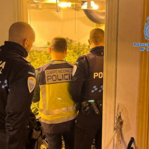 Hasta tres habitaciones de una vivienda de Cabañas de la Sagra, convertidas en plantaciones de marihuana