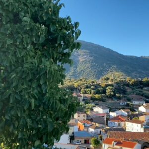 La 'repoblación' de la Sierra de San Vicente: "a tope" en algunas localidades y otras en las que "no ves a nadie al ir a la compra"