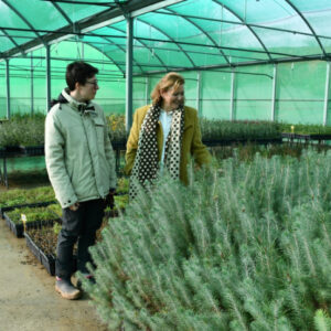 La Diputación de Toledo reparte más de 27.000 plantas a los ayuntamientos y centros educativos de la provincia