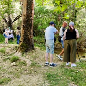 "Baños en bosques", entre las actividades de la Consejería de Desarrollo Sostenible por el Día Internacional de estas zonas verdes