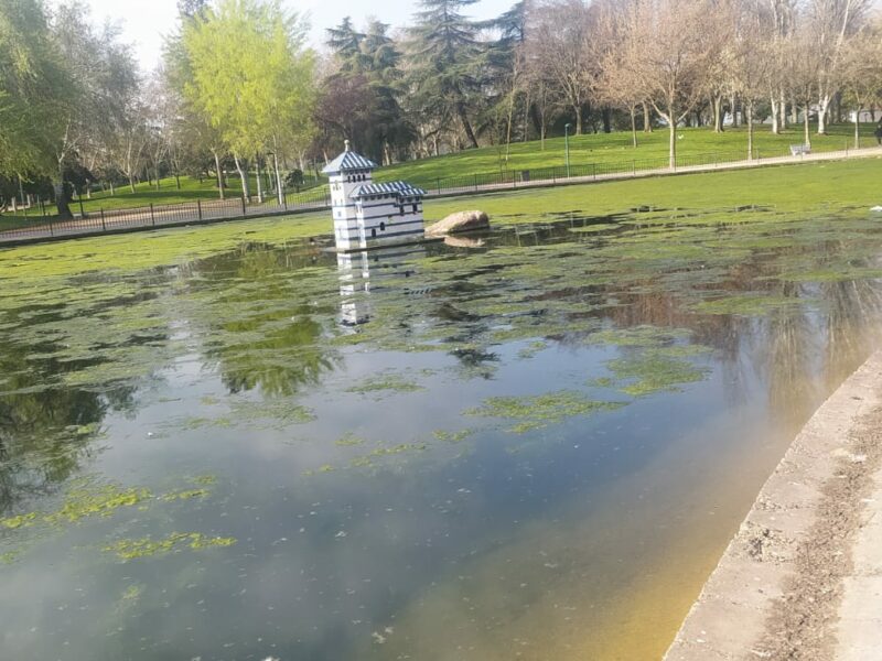 Detienen a dos jóvenes de 14 años por quemar papeleras y contenedores en los Jardines del Prado y la Alameda