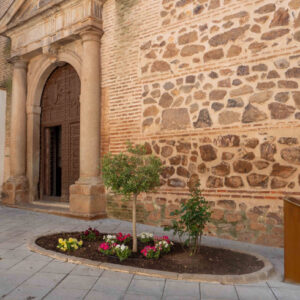 Plantan un olivo en Los Yébenes como símbolo de hermanamiento de todas las nacionalidades