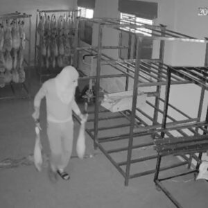 Detienen a un hombre por robar jamones ibéricos en Polán que después se vendían de manera clandestina