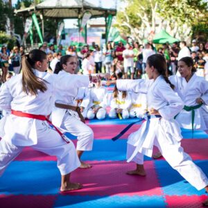 Más de 500 deportistas de 80 clubes participarán en el VII Trofeo de Kárate y Parakárate 'Nisseishi' en Illescas
