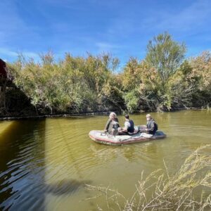 Talavera intensifica su lucha contra mosquitos y quironómidos en la ribera del Tajo