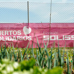 Los Huertos Solidarios de la Fundación Soliss recolectan más de 150 toneladas de verduras y hortalizas en un año