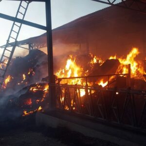 Controlado el incendio en una vaquería de Talavera La Nueva que ha provocado la muerte de 16 animales